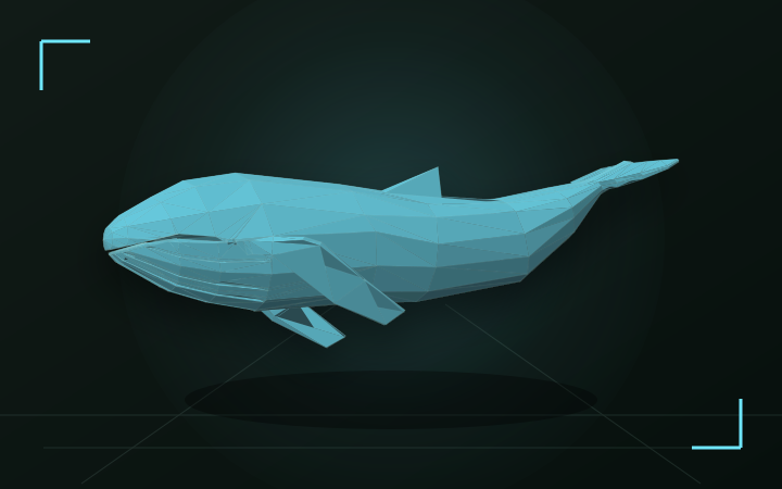 Blue Whale shown as a collapsed sliced puzzle